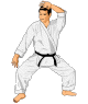 judo.gif