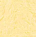 sfMarMa08.jpg